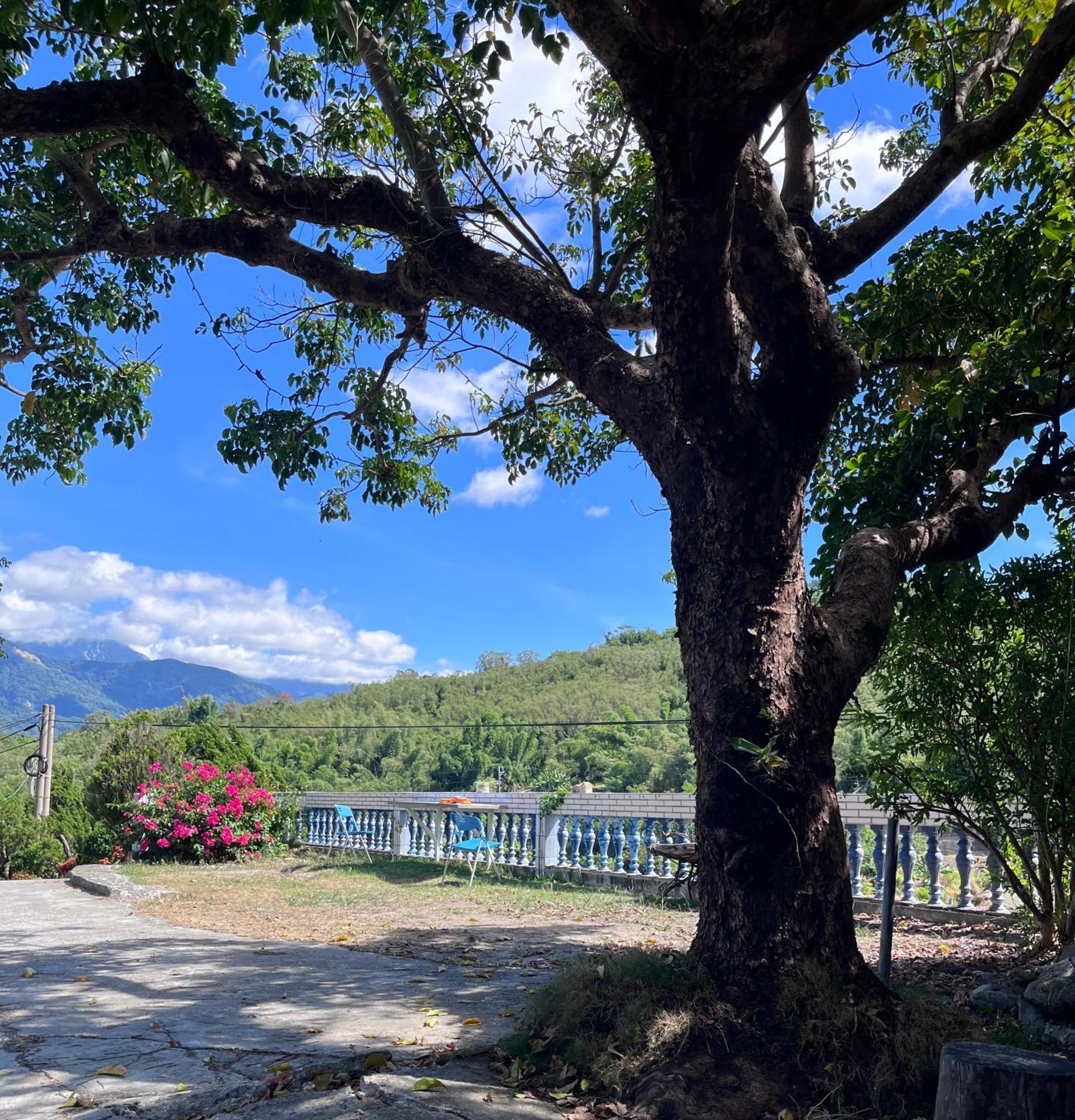 十畝田山莊會館 Hotel Chishang Eksteriør billede