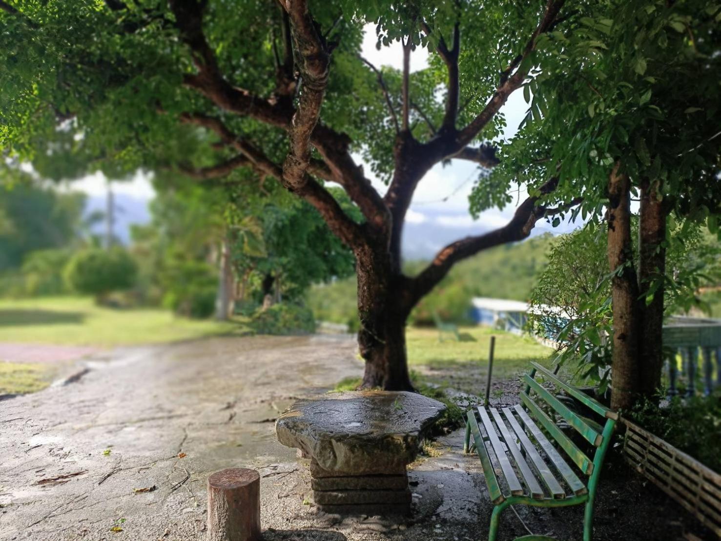 十畝田山莊會館 Hotel Chishang Eksteriør billede