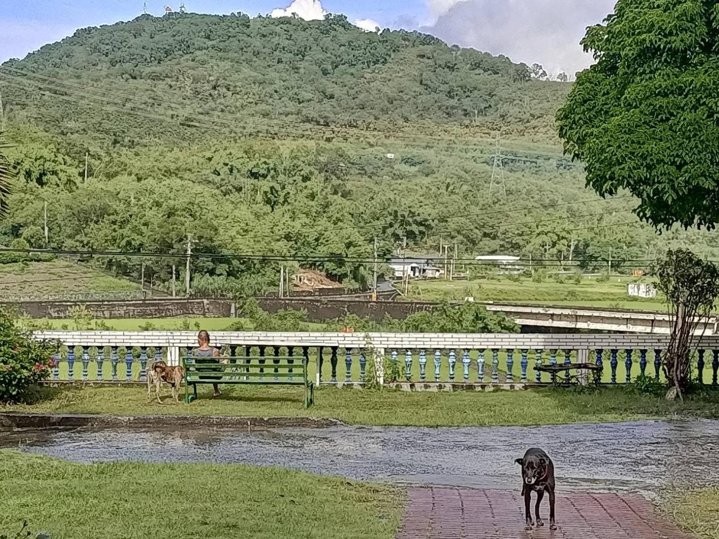 十畝田山莊會館 Hotel Chishang Eksteriør billede